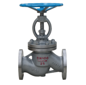 Y Defnydd o Falf Globe