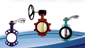 Y Gwahaniaeth Rhwng Falf Pili Pala Lug A Wafer